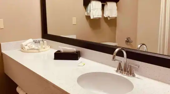Comfort Suites Plano East - Richardson - 8