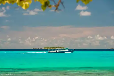 Dhiguveli Maldives - 29
