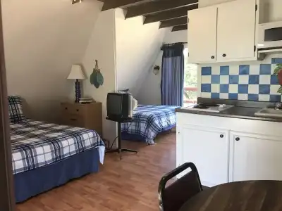 Calm Waters Cabin Resort - 1