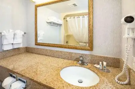 Comfort & Suites - 36