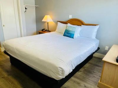 The Palomar Inn - 23