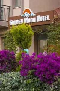 Golden Moon - 0