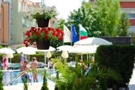 Lion Sunny Beach - 29