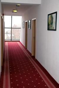 König - 13