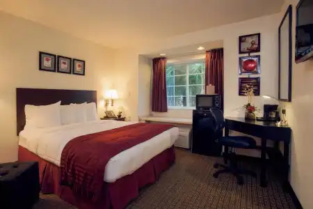 Sleep Inn Jacksonville Airport - 32