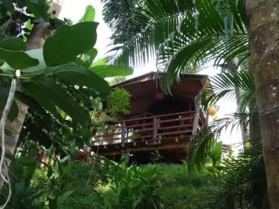 A Peace in Paradise - 37
