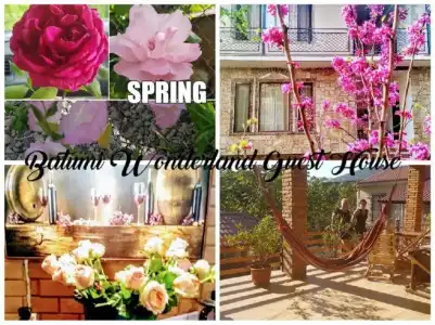 Batumi Wonderland Guest House - 14