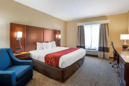 Comfort Suites Fredericksburg North - 55