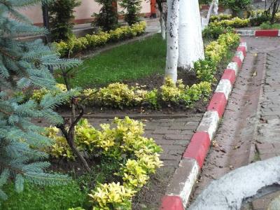 Eraslan Tatil Koyu - 7