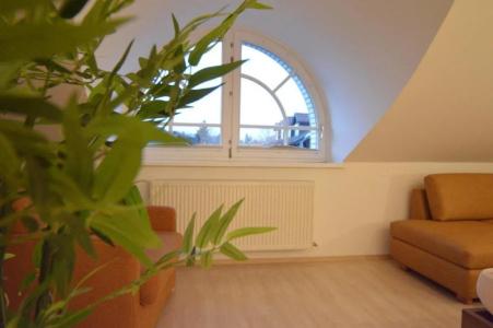 Pension Elisabeth - Rooms & Apartments - 13