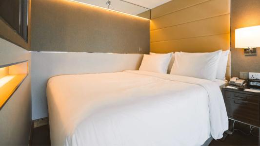 Holiday Inn Singapore Little India by IHG - 43