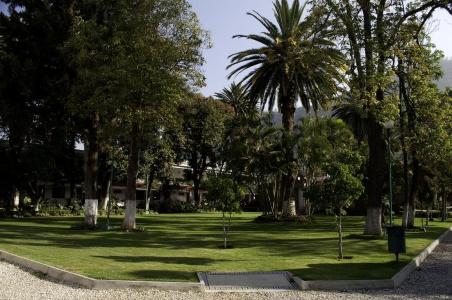 Los Olivos Spa - 36