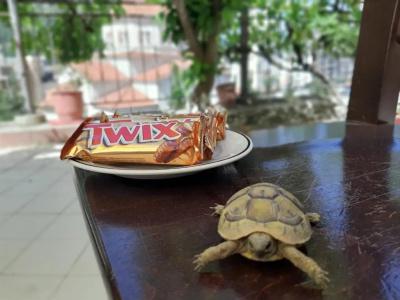 Vila Twix - 47