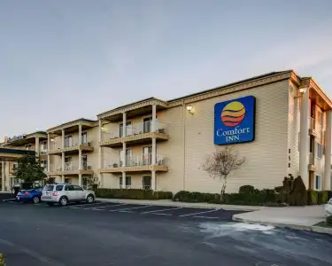 Comfort Inn Redding Near I-5 - 26
