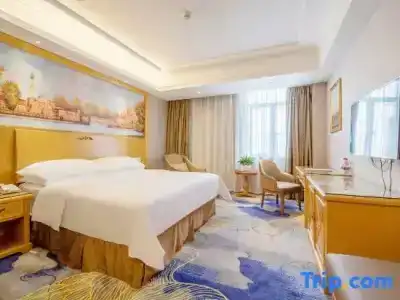 Vienna Shenzhen Shawan Branch - 33