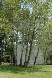Park Motel and Cabins - 286