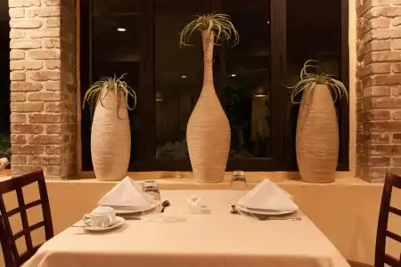Royal Oasis - 17