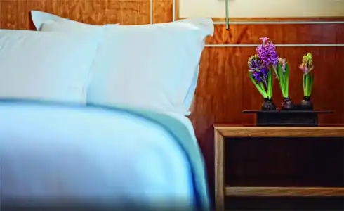 Best Western Plus Alfa Aeropuerto - 21