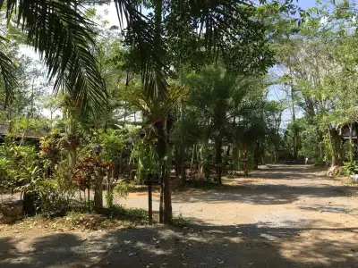 Pang Mai Resort - 14