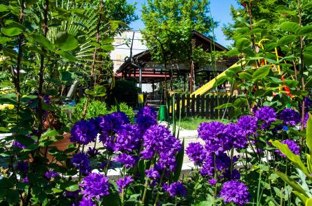 Trakia Garden - 17