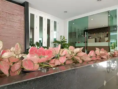 14 Place Sukhumvit Suites - SHA Plus - 27