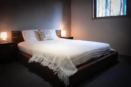 Phoenix Cocoon - 50