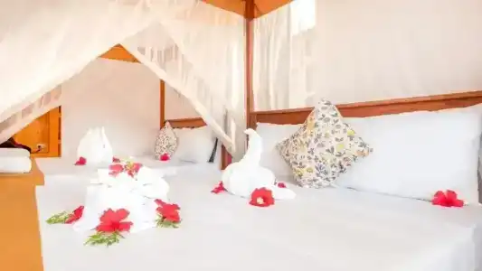 Nungwi Garden Boutique - 34