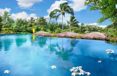 The Resort at Kapalua Bay, Maui - 35