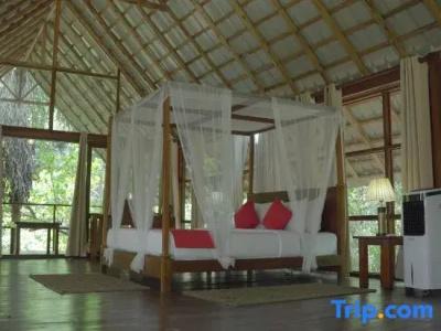 Clio Ella Resort - 43