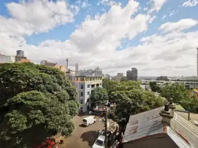 Sydney Wattle - 54