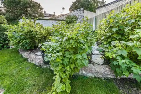 Garden Camping - 24