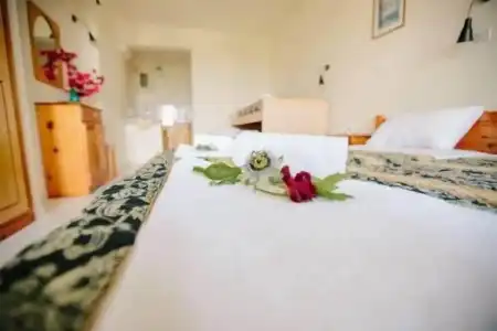 Avra Paradise Aparthotel - 78