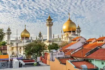 Heritage Collection on Arab - Mobile App Check-In - 10