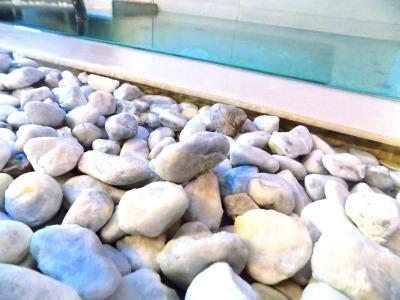 Residence Villa Del Mare - 16