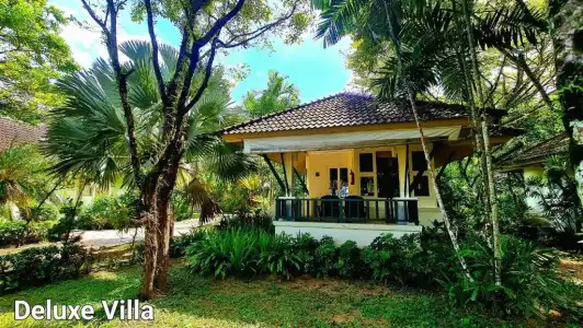 Baan Khaolak Beach Resort (SHA Plus+) - 167