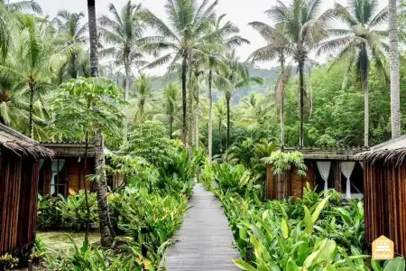 Jungle Koh Kood Resort - 49