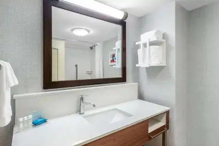 Hampton Inn Suites Minneapolis St Paul Arpt-Mall of America - 8