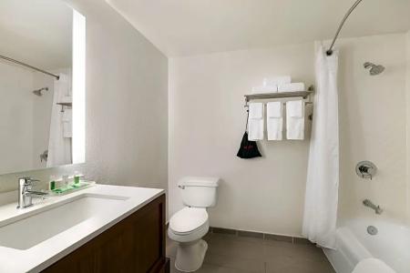 Holiday Inn Houston Intercontinental Airport by IHG - 51