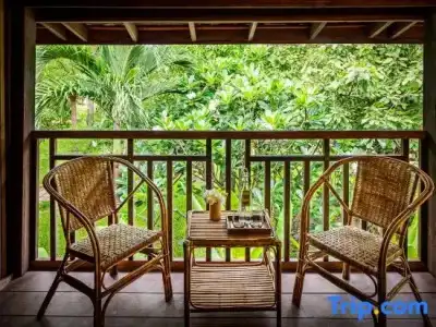 Paradise Island Resort - 155