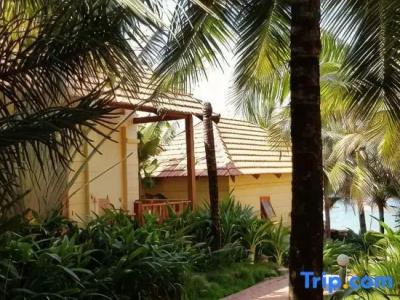 Free Beach Resort - 27