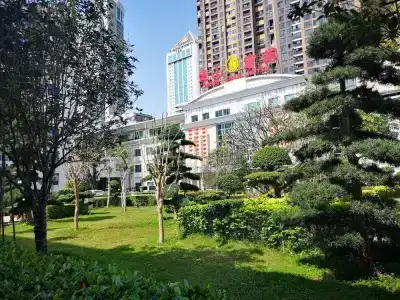 Dongshan - 16