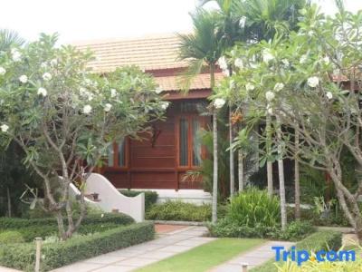 Try Palace Resort & Spa - 59