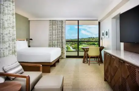 Hyatt Regency Maui Resort & Spa - 88
