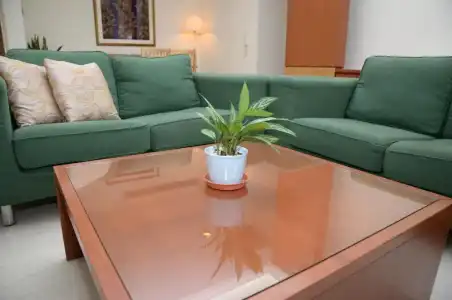 The Maple Suite - 51