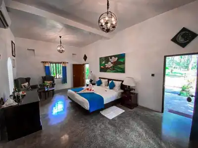 Mangrove Beach Chalets - 12