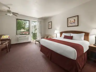 Palm Mountain Resort and Spa - 86