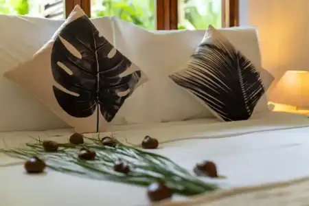 Bliss Praslin - 26