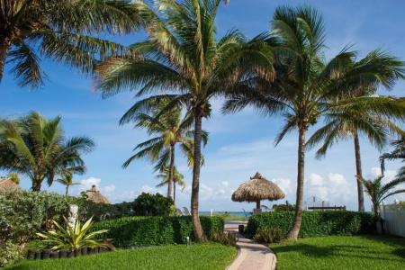 High Noon Beach Resort - 28