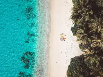 Bliss - 22