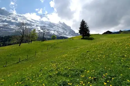 Aspen alpin lifestyle Grindelwald - 189